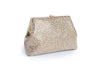 Glitter Frame Clutch